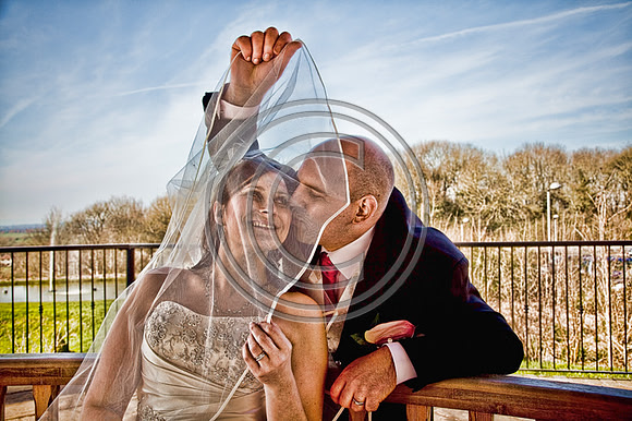 HDR Sketch Bride and Groom Cadbury House Grounds - Photographer Bristol and Leicestershire