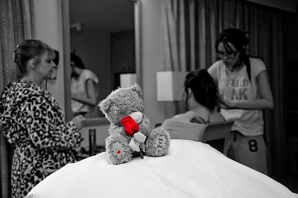 Red Rose Colour Splash Image