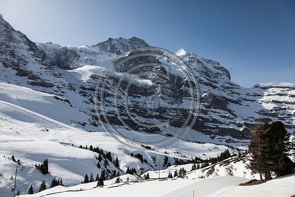 jungfrau Switzerland and surrounding Area