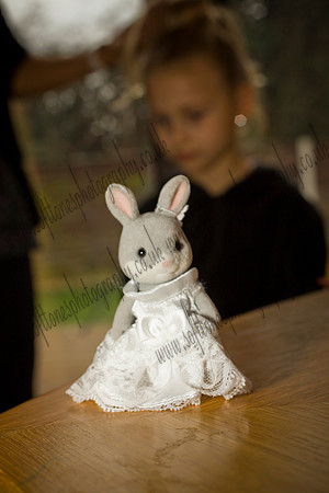 Nikki & Ian's Wedding Photogaphs Near Warwickshire